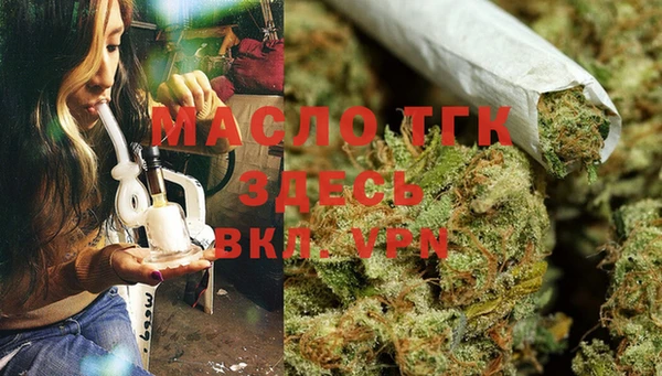 сатива Галич