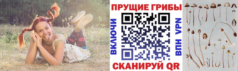 Псилоцибиновые грибы мицелий Ковылкино