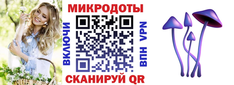 Псилоцибиновые грибы MAGIC MUSHROOMS  Купить  Ковылкино 